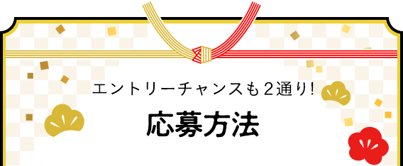 エントリーチャンスも2通り! 応募方法
